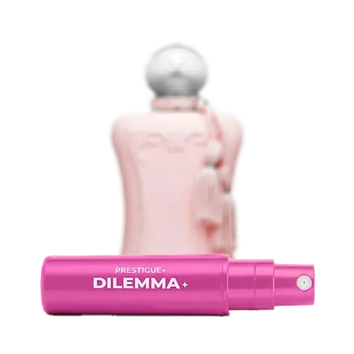 Dilemma Probe